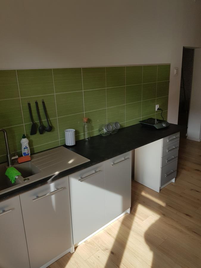 Kaktus * Katowice